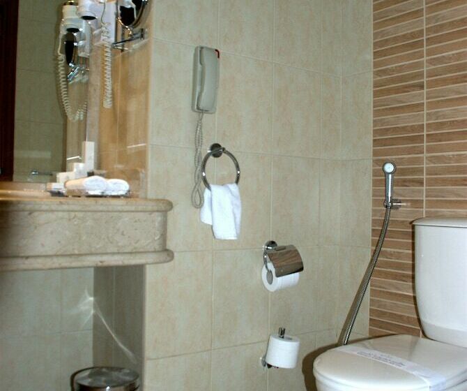 اتاق استاندارد, Safir Hotel Cairo