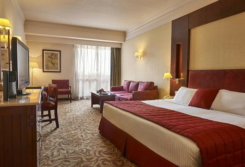 اتاق اجرایی, Safir Hotel Cairo