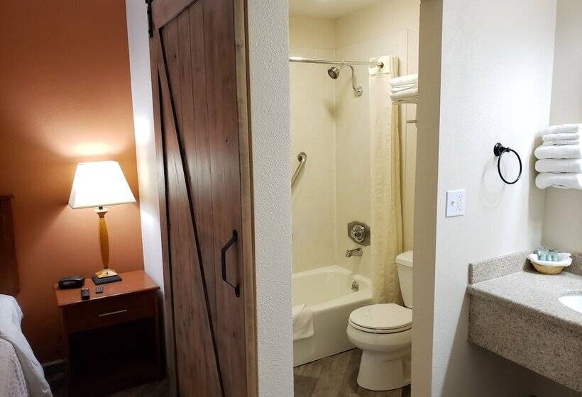 חדר דלוקס, Airport Inn