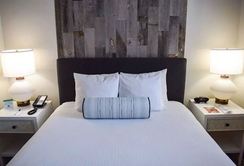 سوییت جونیور, Beachside Inn