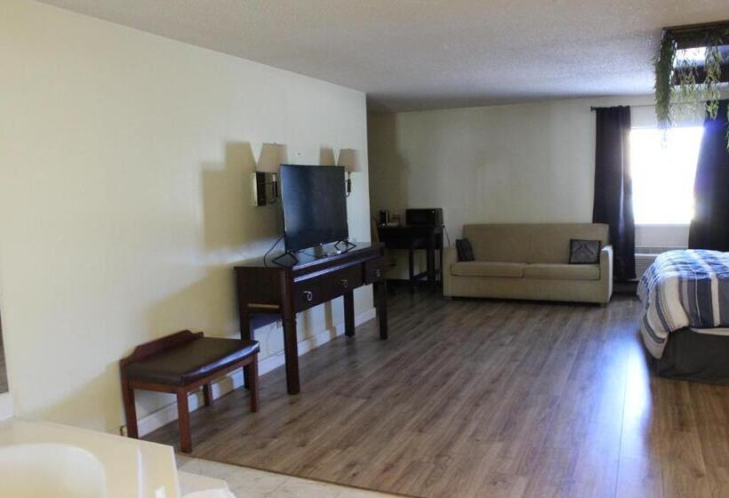 스탠다드 룸 킹사이즈 침대, Bellevue Hotel And Suites