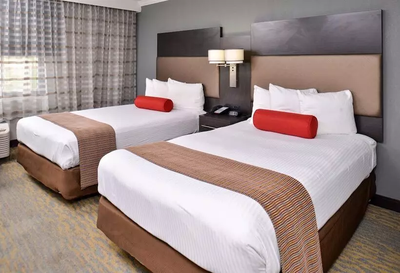 اتاق استاندارد با 2 تخت دوبل, Best Western At Ohare