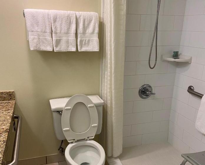 غرفة قياسية سرير كينج, Best Western Crossroads Inn