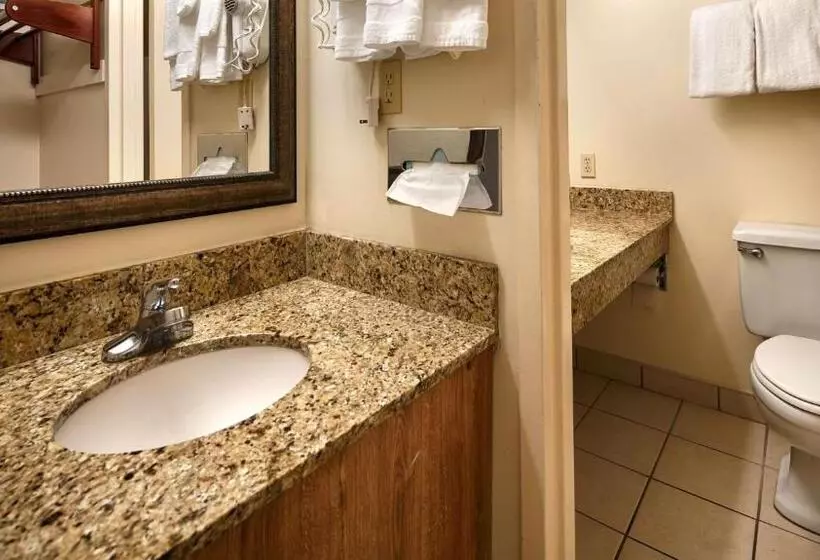 身障者適用スタンダードルーム, Best Western Crossroads Inn