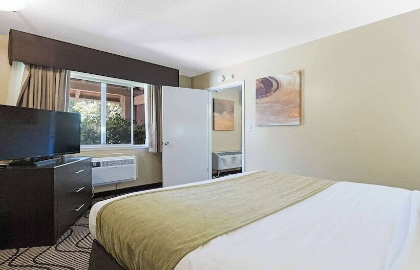 סוויטה, Best Western Gold Country Inn