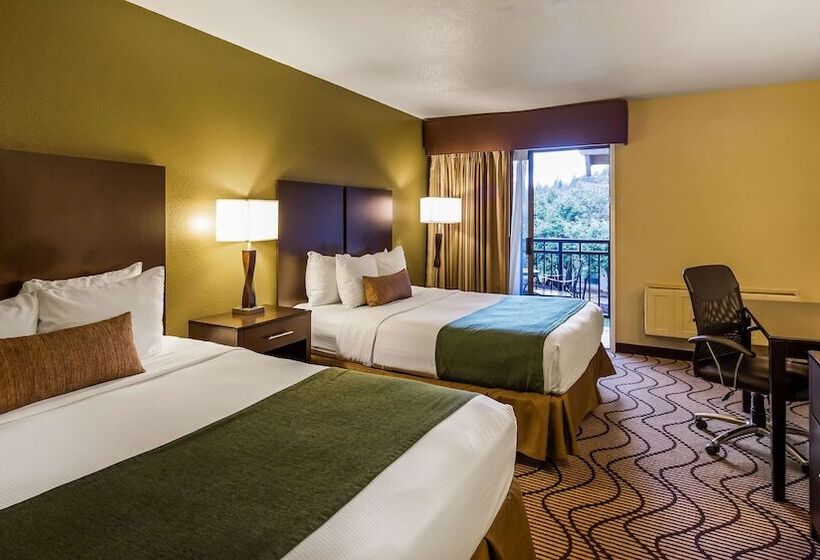 סוויטה, Best Western Gold Country Inn