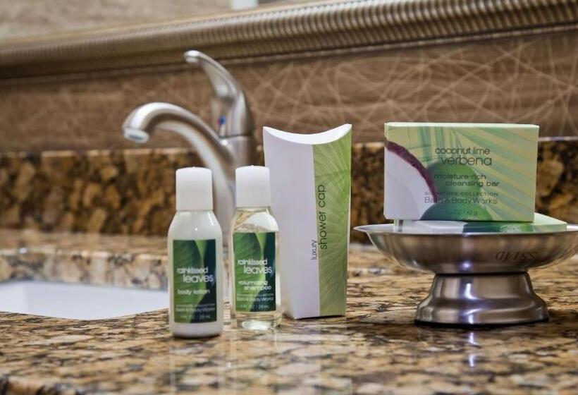 Номер Deluxe Кровать Кинг, Best Western Plus Concordville