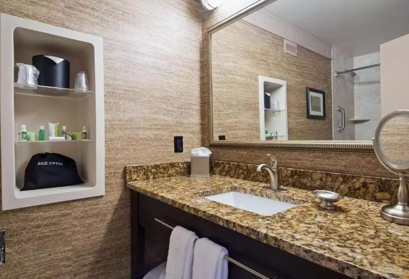 障害者適応デラックスルーム, Best Western Plus Concordville