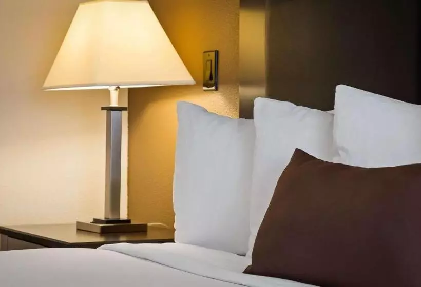 スイート, Best Western Plus Concordville