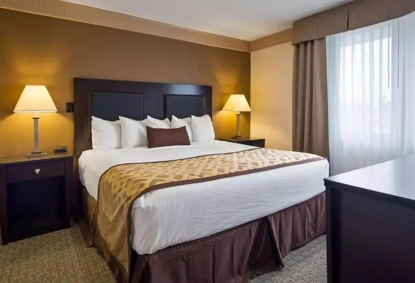 スイート, Best Western Plus Concordville