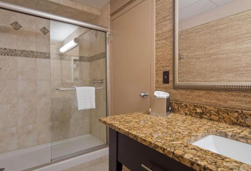 Люкс, Best Western Plus Concordville