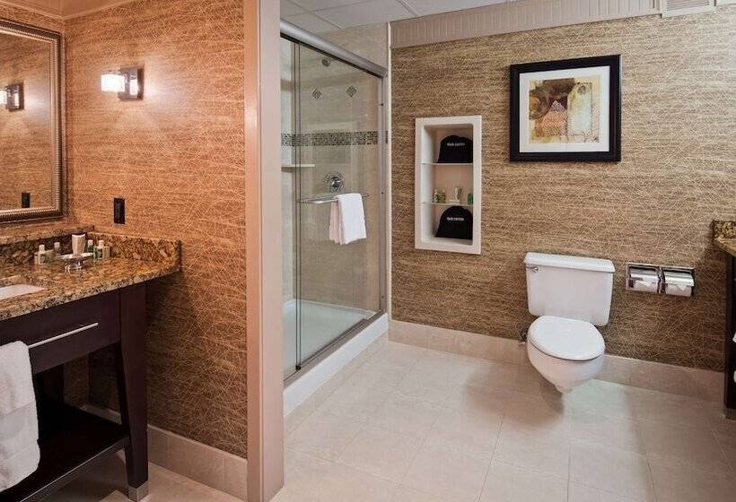 Люкс, Best Western Plus Concordville
