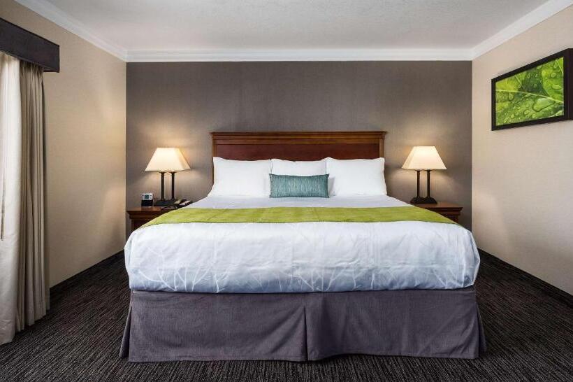 מיטת קינג בסוויטה, Best Western Plus Landmark Inn