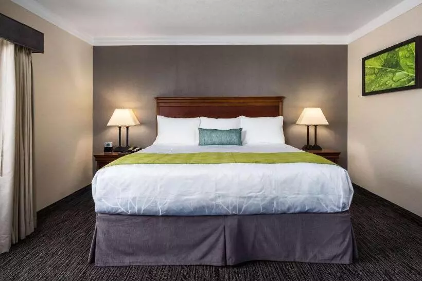 سوئیت با تخت بزرگ, Best Western Plus Landmark Inn
