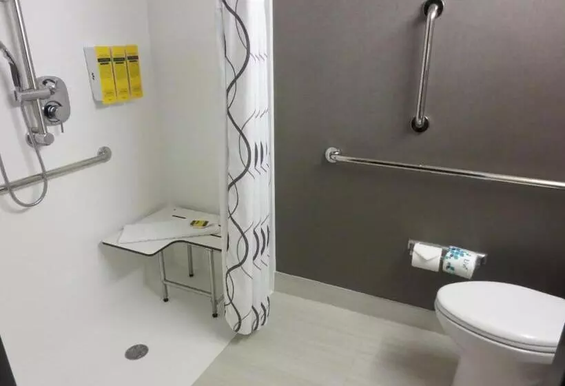 اتاق استاندارد برای معلولان, Best Western Plus Landmark Inn