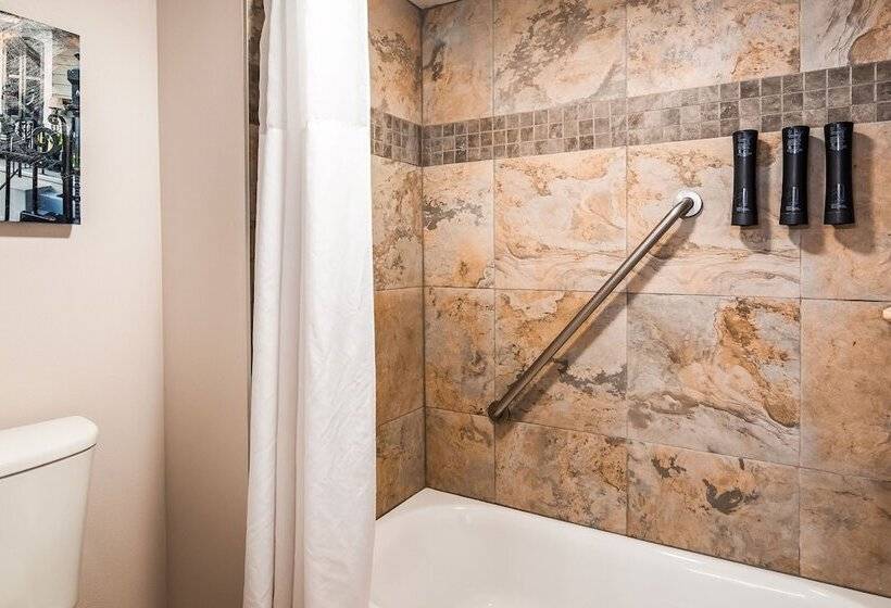 스탠다드 룸 더블 침대 2개, Best Western Plus Westbank