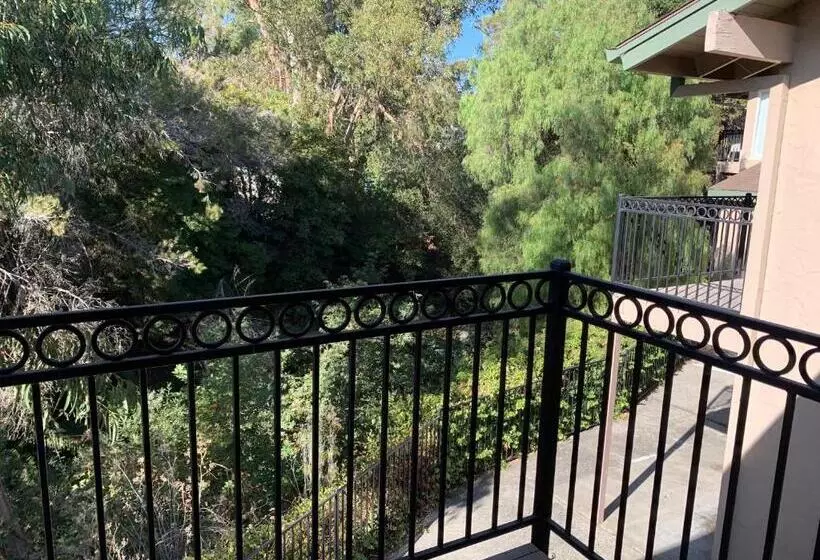 スイート, Olive Tree Inn & Suites