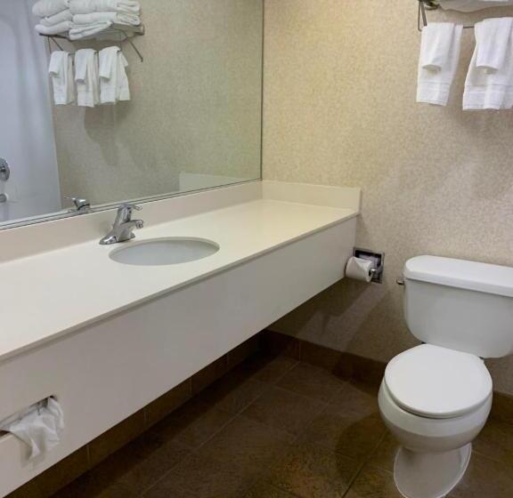 豪华房间, Olive Tree Inn & Suites