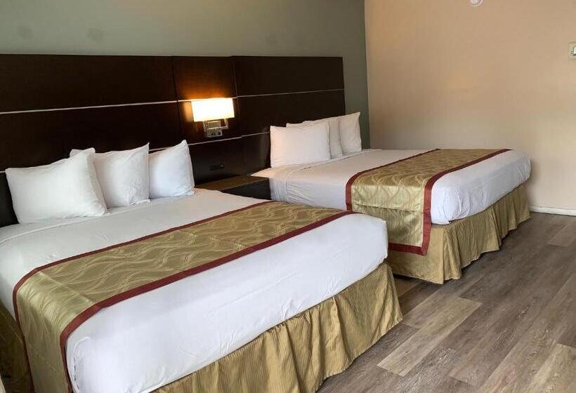 标准间, Olive Tree Inn & Suites