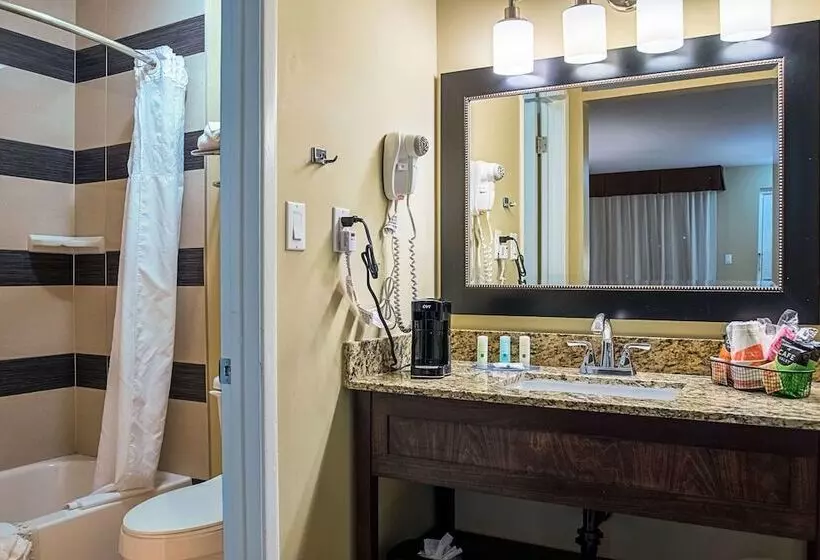 ２ダブルベッドのスタンダードルーム, Quality Inn & Suites Phoenix Nw  Sun City