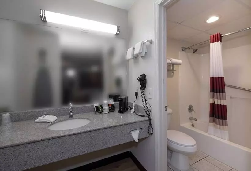 デラックスルーム, Red Roof Inn Dothan