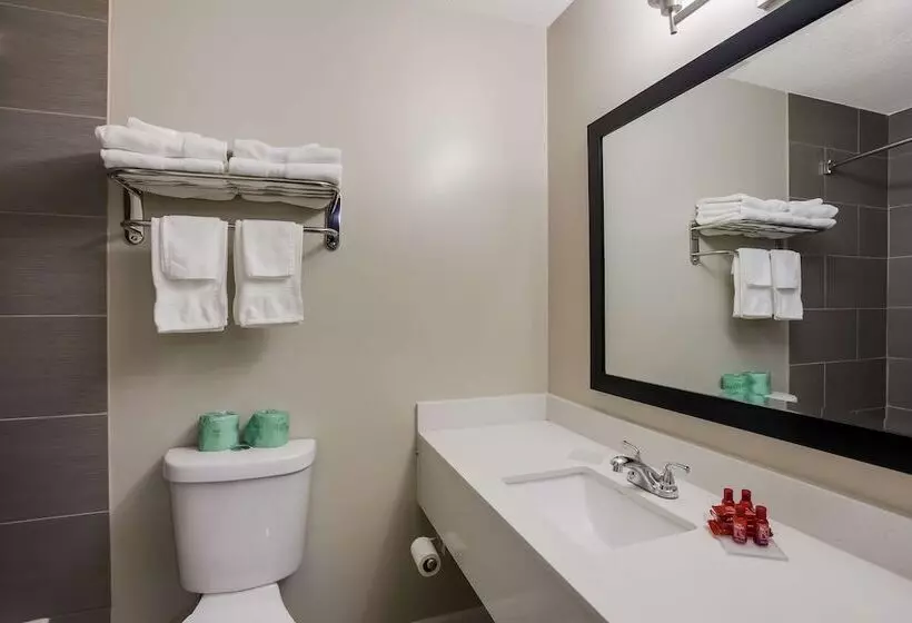スタンダードルーム, Surestay Hotel By Best Western Higginsville