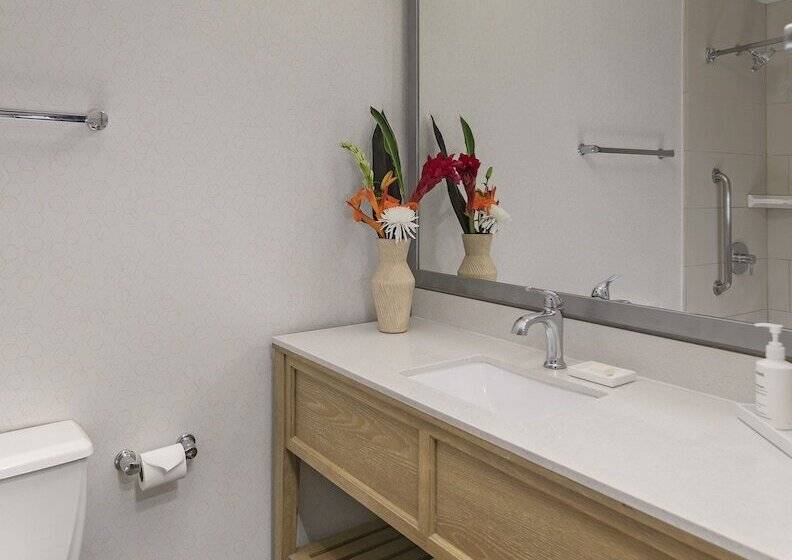 اتاق لوکس, The Wayfarer San Diego