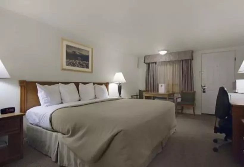 身障者適用キングサイズベッドルーム, Magnuson Hotel Park Vue