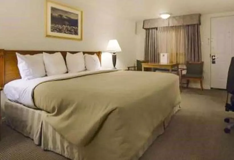 キングサイズベッドのスタンダードルーム, Magnuson Hotel Park Vue