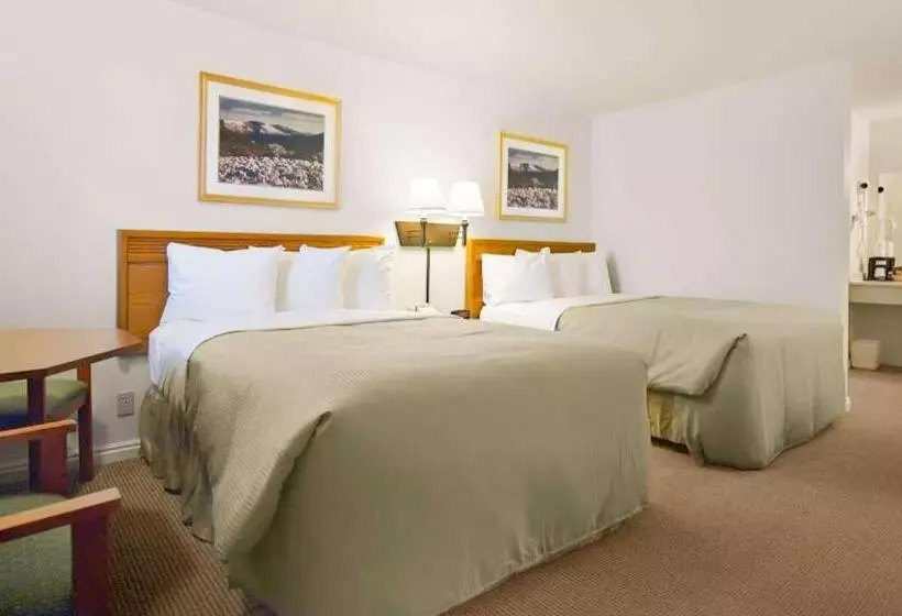 ２ダブルベッドのスタンダードルーム, Magnuson Hotel Park Vue