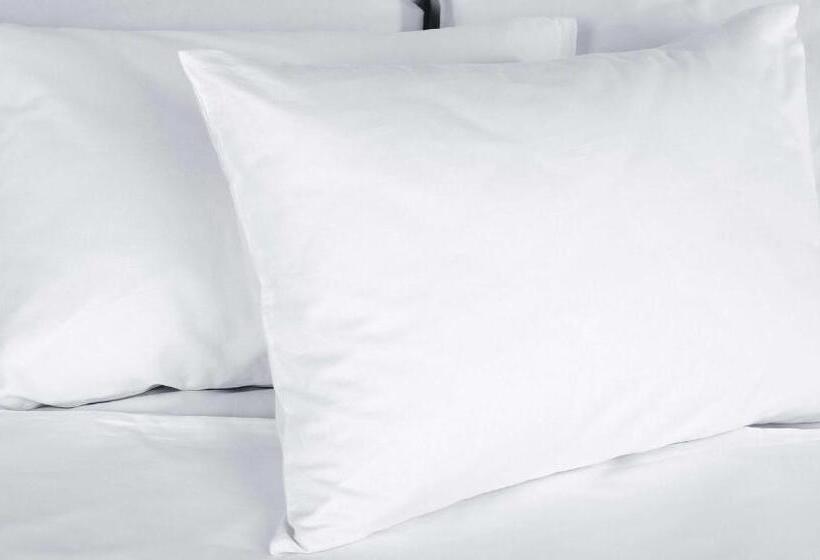 غرفة قياسية سرير كينج لذوى الإحتياجات الخاصة, Magnuson Hotel Park Vue