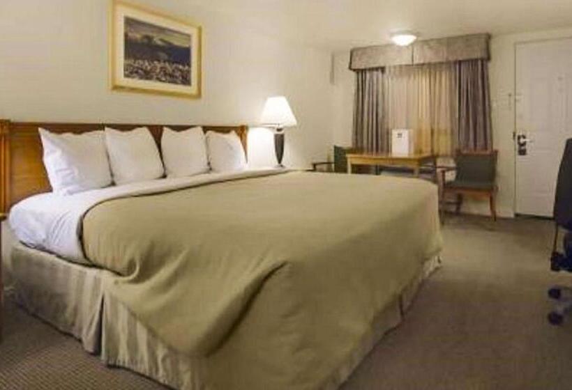 Номер Стандарт Кровать Кинг Адаптированный для Инвалидов, Magnuson Hotel Park Vue