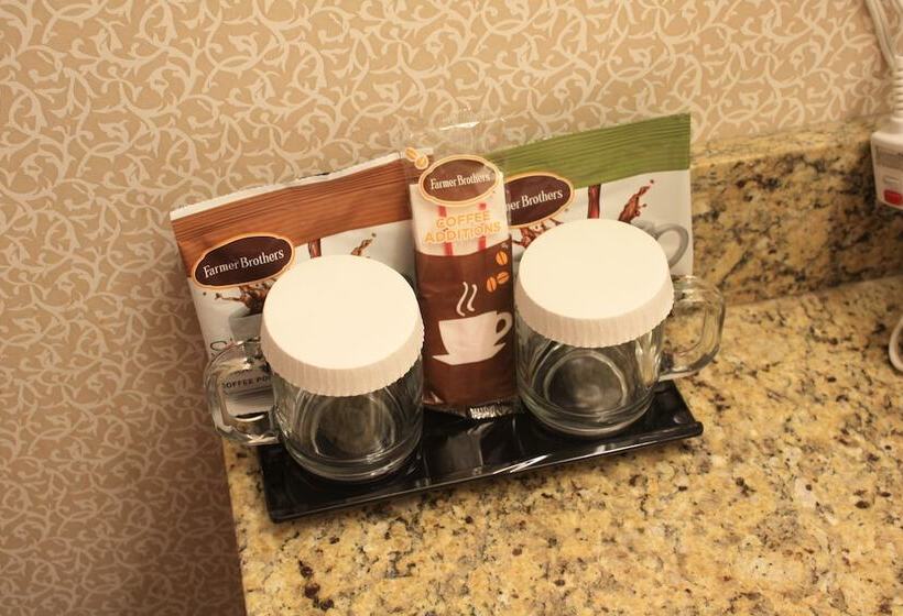 غرفه قياسيه سريرين مزدوجين, Winnemucca Holiday Motel