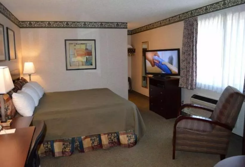 キングサイズベッドのスタンダードルーム, Winnemucca Holiday Motel