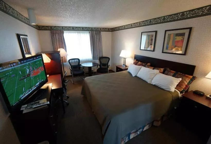 キングサイズベッドのスタンダードルーム, Winnemucca Holiday Motel