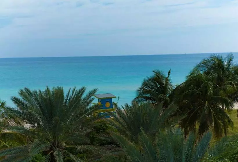 اتاق استاندارد با تخت بزرگ, Broadmore Miami Beach
