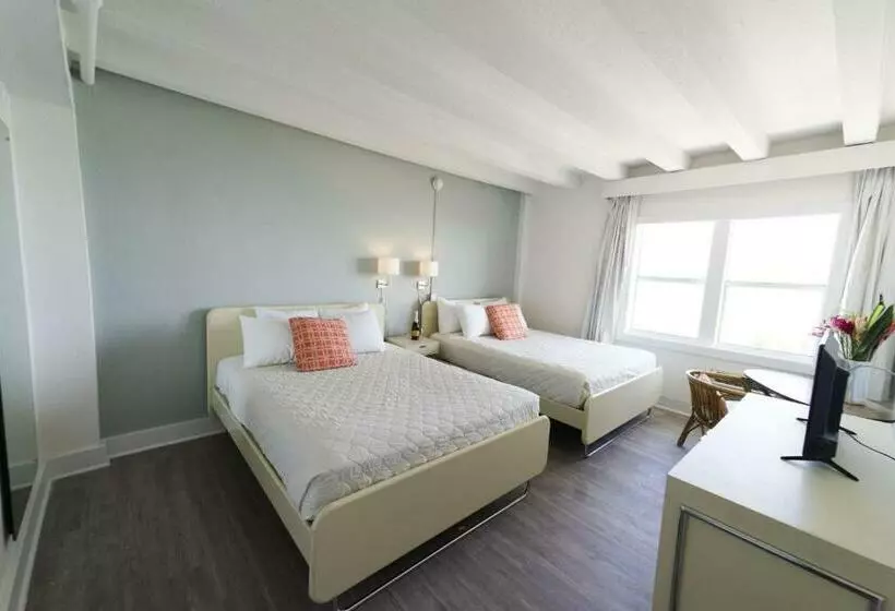 سوئیت با تخت بزرگ, Broadmore Miami Beach
