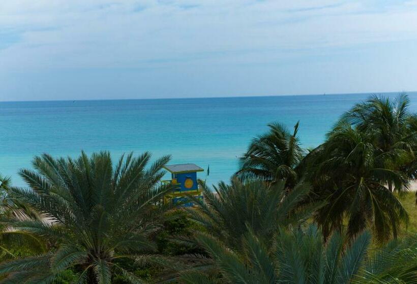 غرفة إقتصادية, Broadmore Miami Beach