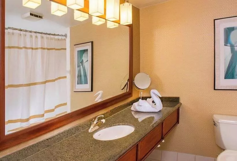 Standard-huone Parivuode, Bwi Airport Marriott