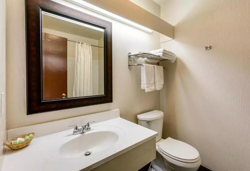 اتاق استاندارد با 2 تخت دوبل, Coachman Inn