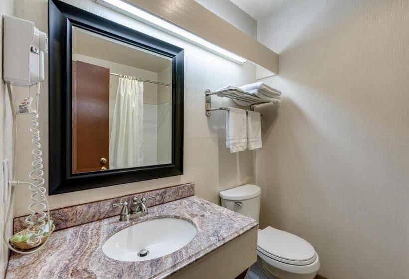 غرفة قياسية, Coachman Inn