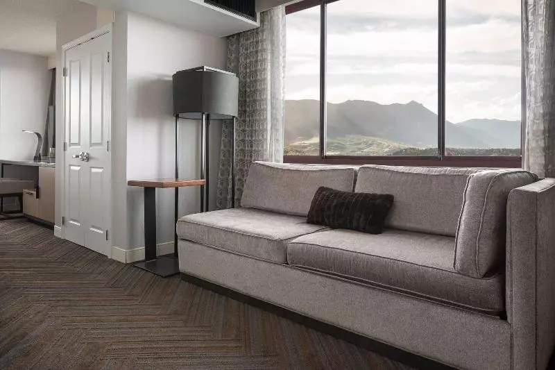 اتاق استاندارد با تخت بزرگ, Colorado Springs Marriott