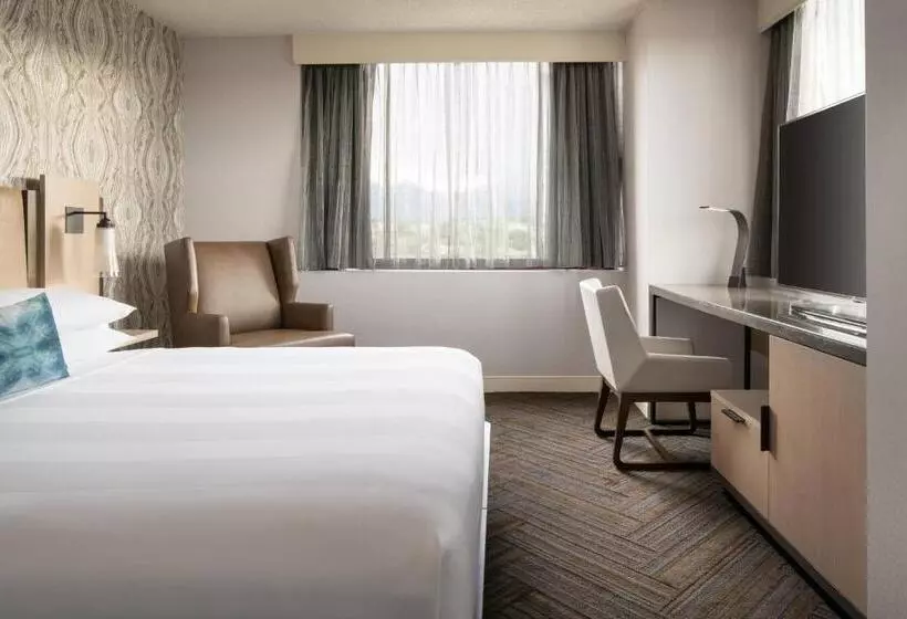 اتاق سوپریور با تخت بزرگ, Colorado Springs Marriott