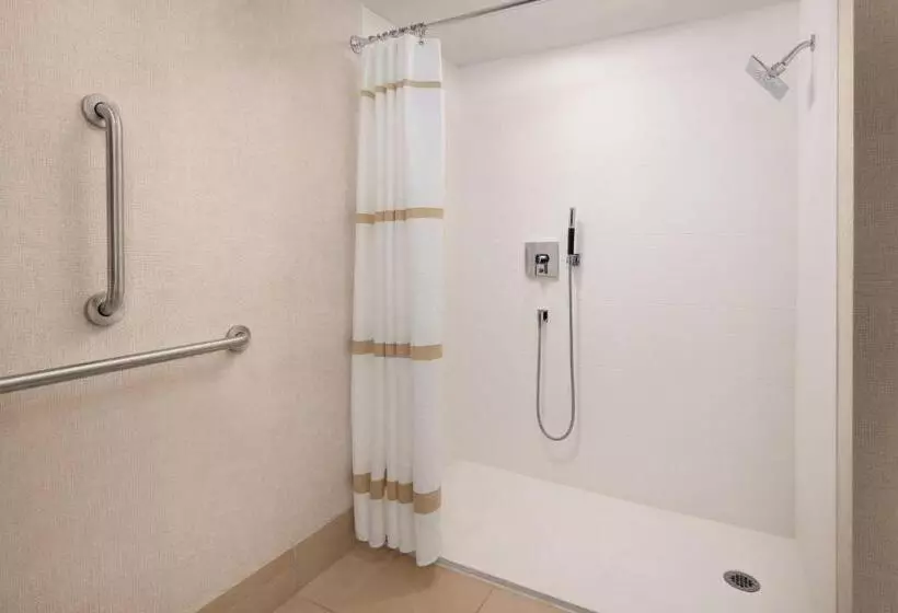 اتاق استاندارد با تخت بزرگ برای معلولان, Colorado Springs Marriott