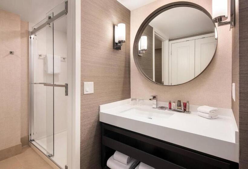 身障者適用キングサイズベッドルーム, Colorado Springs Marriott