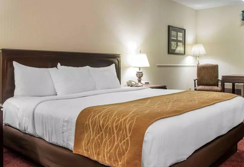 デラックスルーム, Comfort Inn Lakeside