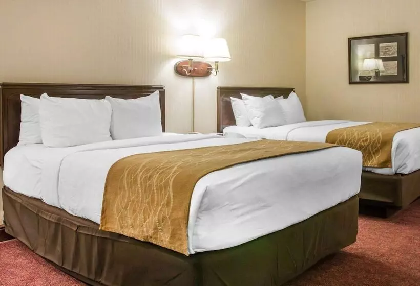 レイクビューデラックスルーム, Comfort Inn Lakeside