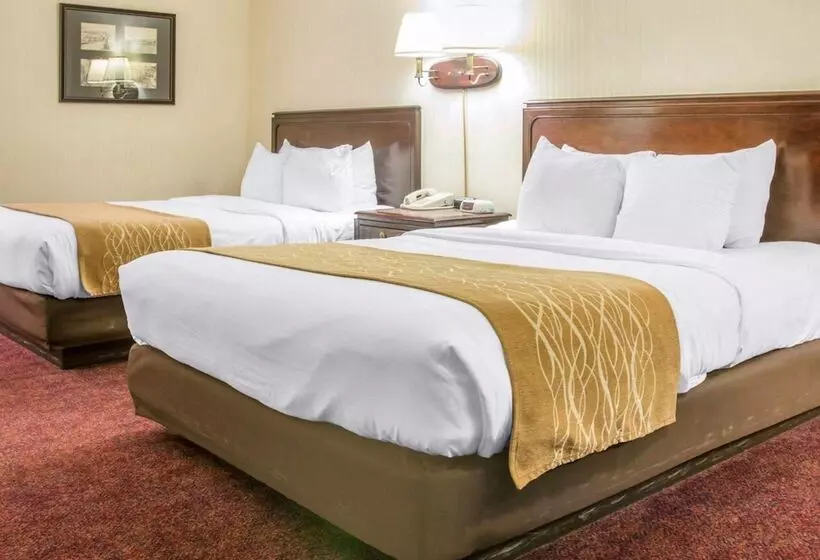 レイクビューデラックスルーム, Comfort Inn Lakeside