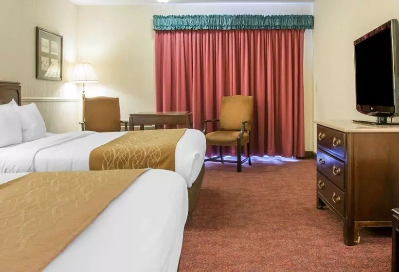 レイクビューデラックスルーム, Comfort Inn Lakeside