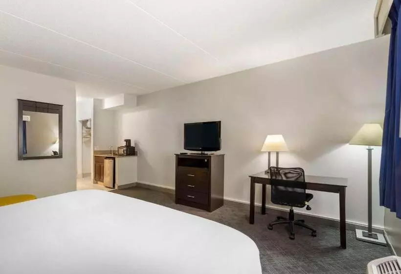 身障者適用キングサイズベッドルーム, Comfort Inn & Suites Mundeleinvernon Hills